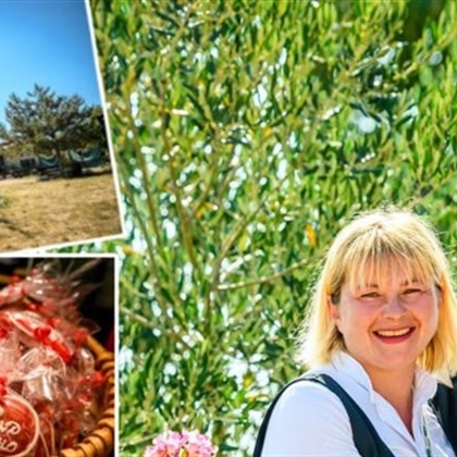 Zelena i digitalna tranzicija Tematskog parka Dalmati